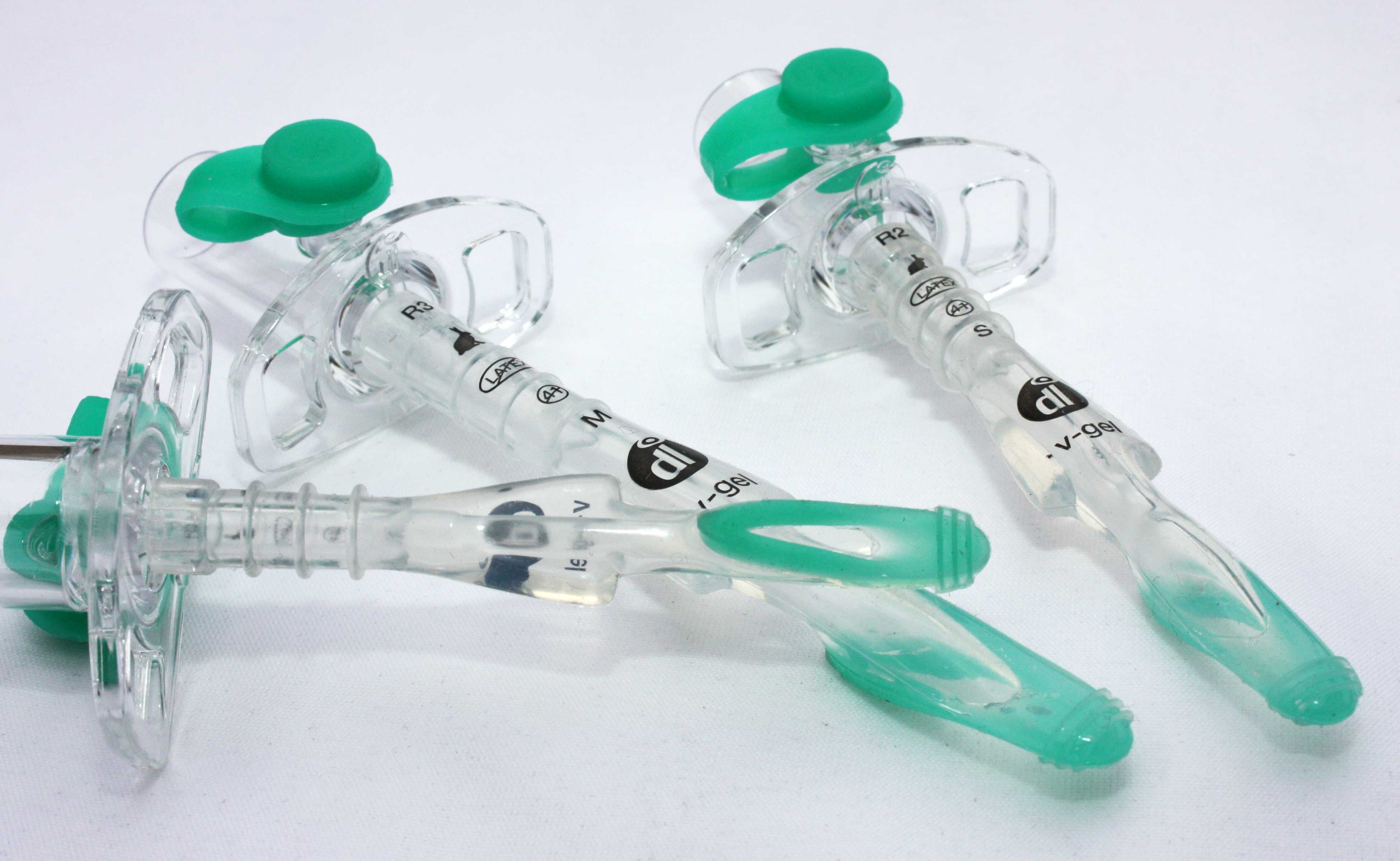 V Gel Rabbit